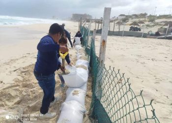 REVISAN CONDICIONES DE NIDOS DE TORTUGA, LUEGO DEL PASO DE ZETA