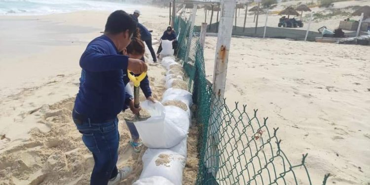 REVISAN CONDICIONES DE NIDOS DE TORTUGA, LUEGO DEL PASO DE ZETA