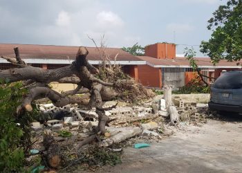 BUSCAN APLICAR RECURSOS DEL FONDEN PARA ESCUELAS CON AFECTACIONES POR «DELTA»