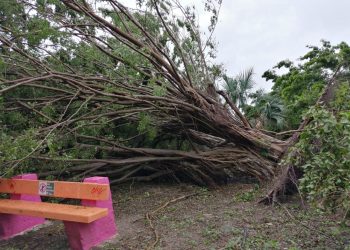 AUTORIZA LA FEDERACIÓN 350 MDP DEL FONDEN PARA ATENDER DAÑOS POR LA TORMENTA TROPICAL “CRISTÓBAL”.