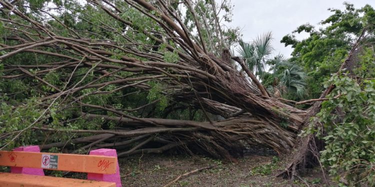 AUTORIZA LA FEDERACIÓN 350 MDP DEL FONDEN PARA ATENDER DAÑOS POR LA TORMENTA TROPICAL “CRISTÓBAL”.