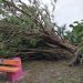 AUTORIZA LA FEDERACIÓN 350 MDP DEL FONDEN PARA ATENDER DAÑOS POR LA TORMENTA TROPICAL “CRISTÓBAL”.