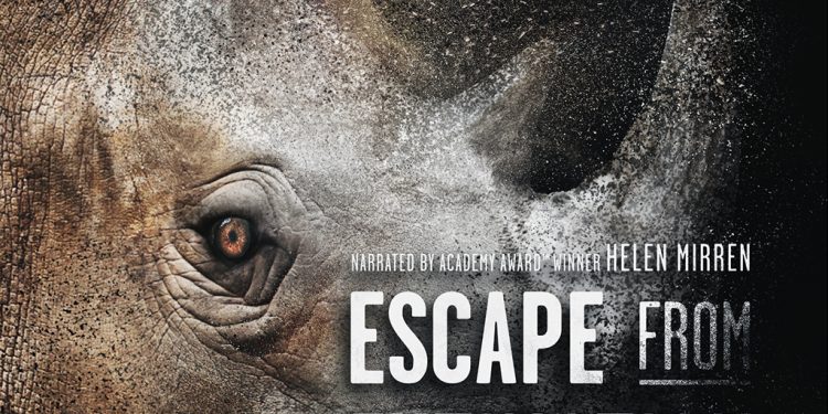 THE DOLPHIN COMPANY RECONOCE A AMERICAN HUMANE ASSOCIATION