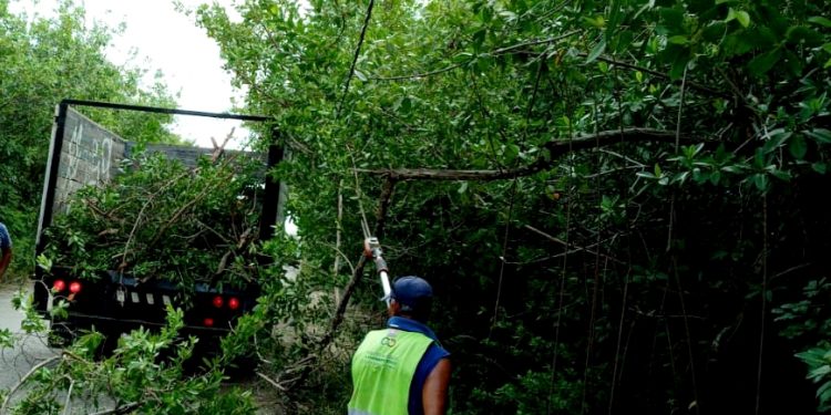 CON TRABAJO EN EQUIPO, EN PUERTO MORELOS HACEMOS FRENTE A LAS ADVERSIDADES: LAURA FERNÁNDEZ