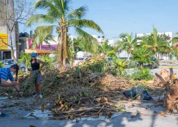 MOVIMIENTO 7/11 AYUDA A LIMPIAR CANCÚN
