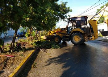 CONTINÚAN BRIGADAS DE LIMPIEZA TRAS PASO DE “DELTA”