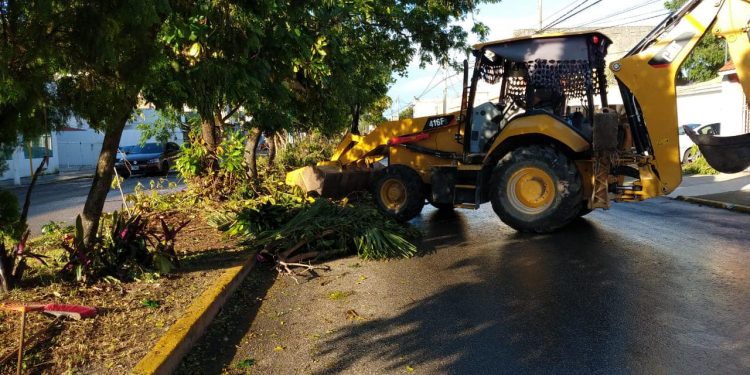 CONTINÚAN BRIGADAS DE LIMPIEZA TRAS PASO DE “DELTA”
