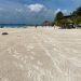 PLAYAS DE ISLA MUJERES LISTAS PARA RECIBIR AL TURISMO