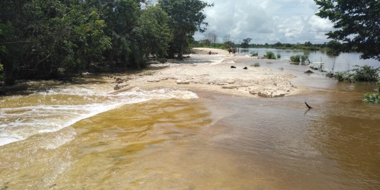 ESCURRIMIENTOS POR FRENTE FRÍO DEJAN INCOMUNICADAS A LOS HABITANTES DE RÍO VERDE Y MIGUEL ALEMÁN: COEPROC
