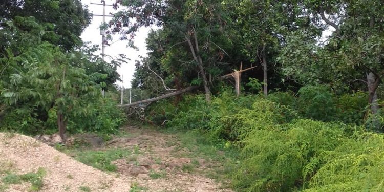 POBLACIÓN MAYA SIN ENERGÍA DESDE HACE UNA SEMANA