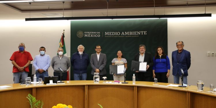 GARANTIZAN MEDIDAS AMBIENTALES CON EL TREN MAYA