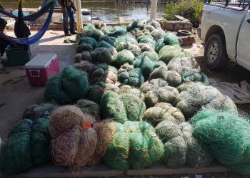 RETIENE CONAPESCA, DE MANERA PRECAUTORIA, MÁS DE 112 MIL KILOS DE PRODUCTO PESQUERO Y ACUÍCOLA