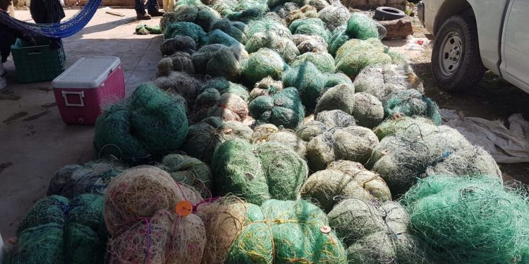 RETIENE CONAPESCA, DE MANERA PRECAUTORIA, MÁS DE 112 MIL KILOS DE PRODUCTO PESQUERO Y ACUÍCOLA