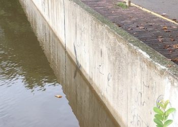 AUSENCIA DE LLUVIAS FAVORECE DESCENSO DE TODOS LOS RÍOS: IPCET
