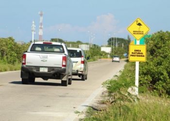 COLOCAN SEÑALAMIENTOS PARA PREVENIR DAÑOS A LOS FLAMENCOS