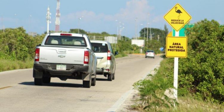 COLOCAN SEÑALAMIENTOS PARA PREVENIR DAÑOS A LOS FLAMENCOS