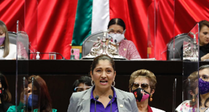 DIPUTADAS FEDERALES NO PERMITIRÁN QUE LOS VARONES DECIDAN SOBRE EL CUERPO DE LA MUJER
