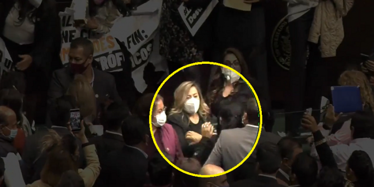 DIPUTADA DEL PAN ACUSA HABER SIDO GOLPEADA POR MORENISTA: VIDEO
