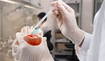 ENVÍAN PRODUCTOS TABASQUEÑOS A LABORATORIOS, PARA INTEGRAR ETIQUETAS Y TABLA NUTRIMENTAL