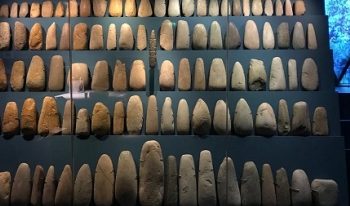 INAUGURAN EXPOSICIÓN “LOS OLMECAS Y LAS CULTURAS DEL GOLFO DE MÉXICO”, EN MUSEO DE FRANCIA