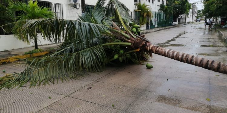 SE REGISTRAN ANEGACIONES, CORTES DE LUZ Y CAÍDAS DE ÁRBOLES POR HURACÁN DELTA