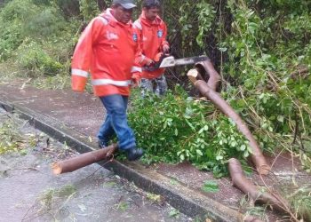 SOLICITA AYUNTAMIENTO A POBLACIÓN ISLEÑA PERMANECER EN SUS HOGARES
