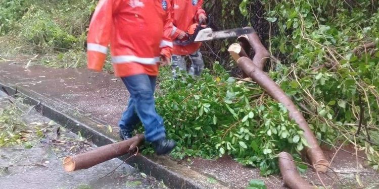 SOLICITA AYUNTAMIENTO A POBLACIÓN ISLEÑA PERMANECER EN SUS HOGARES