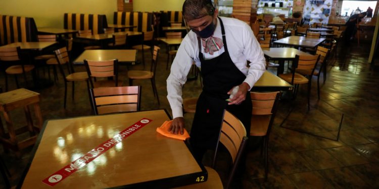 IMPULSA SENADORA DEL PT  UNA INICIATIVA PARA DEDUCIR LOS GASTOS POR EL CONSUMO DE RESTAURANTES