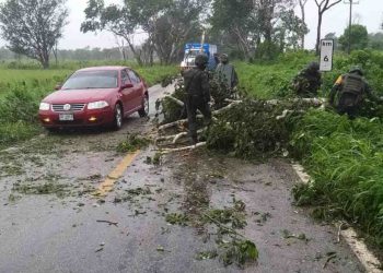 TORMENTA‘GAMMA’ DEJA DAÑOS EN YUCATÁN