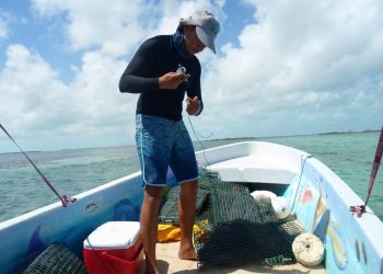 OBSERVAN PATRONES DE RECLUTAMIENTO DE PECES EN QUINTANA ROO