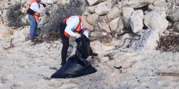 SE LLEVAN A CABO ACCIONES PARA QUE LOS LITORALES DE LA COSTA ORIENTE DE COZUMEL SE ENCUENTREN LIBRES DE DESECHOS SÓLIDOS