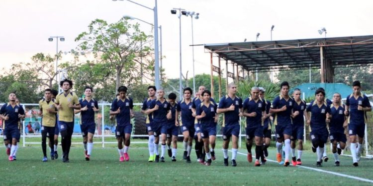 REPROGRAMA TULUM JUEGO ANTE PEJELAGARTOS