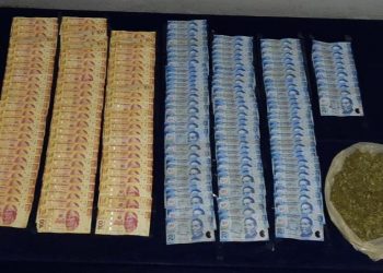 DETIENEN A DOS SUJETOS POR POSESIÓN DE HIERBA SECA