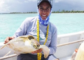 ORGANIZAN CICLO DE CONFERENCIAS SOBRE LAS TORTUGAS MARINAS