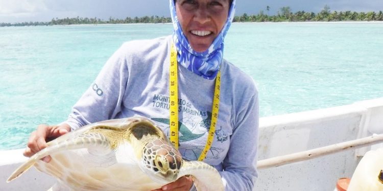 ORGANIZAN CICLO DE CONFERENCIAS SOBRE LAS TORTUGAS MARINAS