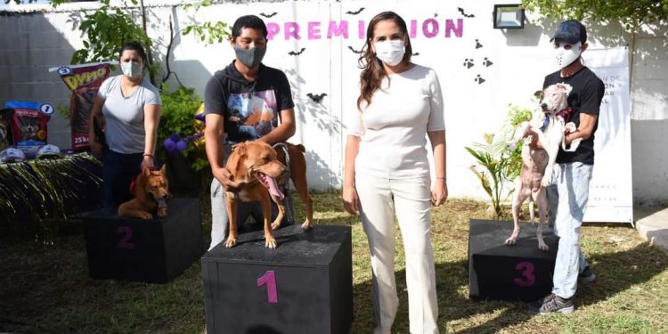 LAS MASCOTAS TAMBIÉN CELEBRARON HALLOWEEN