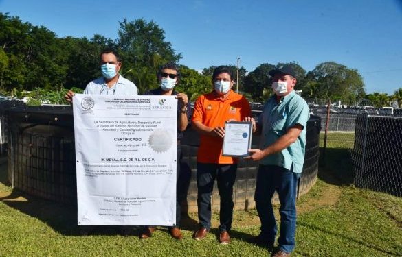 PRODUCTORES DE TILAPIA RECIBEN CERTIFICADO DE SANIDAD E INOCUIDAD ACUÍCOLA EMITIDO POR EL SENASICA