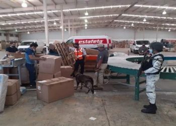 DECOMISAN 390 KG DE MARIHUANA QUE TENÍA COMO DESTINO LA COLONIA PACTO OBRERO EN CHETUMAL