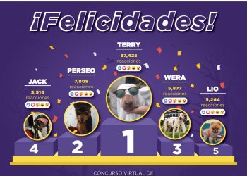 DAN SEGUNDA OPORTUNIDAD DE VIDA A PERRITOS Y GATITOS CALLEJEROS DE CANCÚN