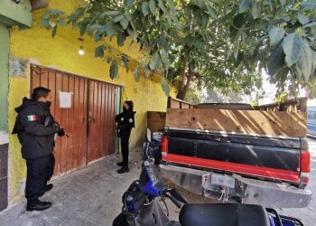 GUARDIA NACIONAL, PROFEPA Y FGR ASEGURAN ALREDEDOR DE 15 MIL ANIMALES DE DIFERENTES ESPECIES