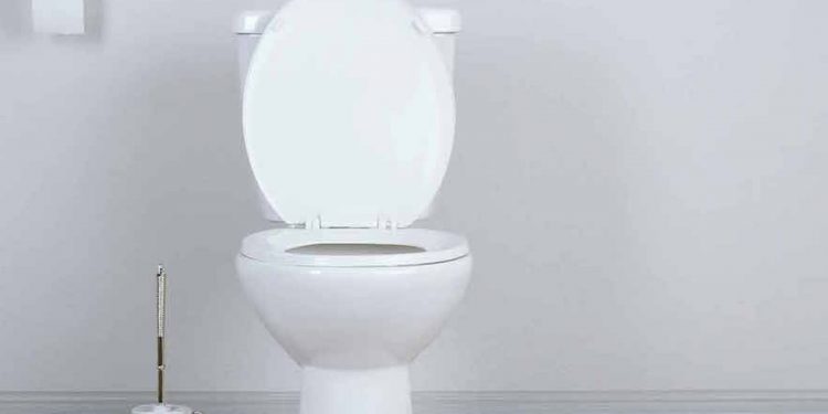 ¡HOY ES EL DÍA MUNDIAL DEL INODORO!