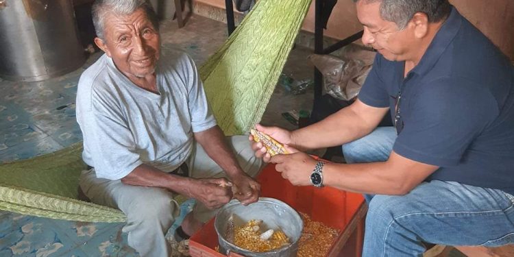 REPRESENTANTES MAYAS RESPALDAN A LUIS MIS COMO ASPIRANTE A LA PRESIDENCIA MUNICIPAL DE FELIPE CARRILLO PUERTO