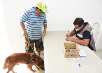 ANUNCIAN CAMPAÑA DE ADOPCIÓN CANINA