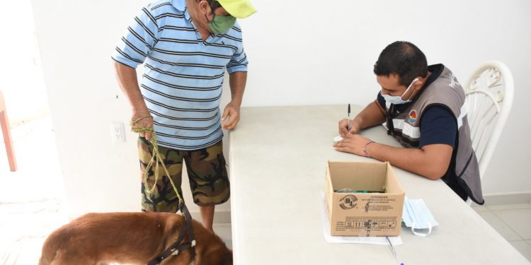 ANUNCIAN CAMPAÑA DE ADOPCIÓN CANINA
