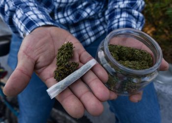 LA CNC NO ESTÁ INTERESADA EN CULTIVAR MARIHUANA PERO BRINDARÁ ASISTENCIA A PRODUCTORES QUE DESEEN INCURSIONAR EN ESTA ACTIVIDAD