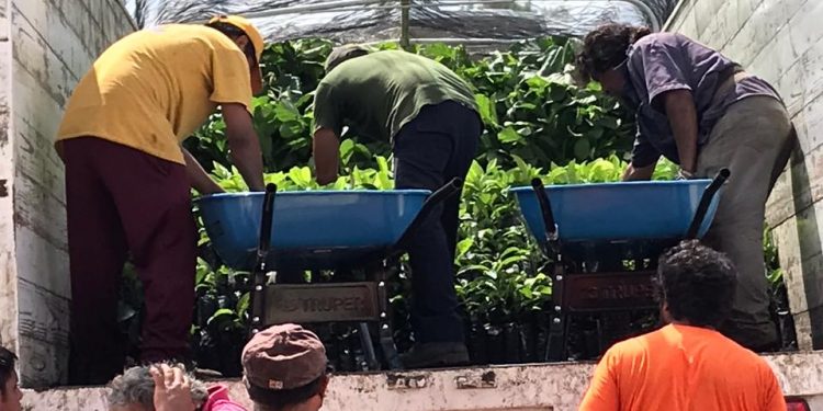 EJIDATARIOS DE FCP DENUNCIAN AMENAZAS Y ACTOS DE CORRUPCIÓN DE FUNCIONARIA FEDERAL