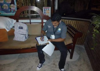 SE FINCARAN RESPONSABILIDADES A QUIEN RESULTE RESPONSABLE POR MALTRATO DE UN EQUINO EN HOTEL DE TULUM.