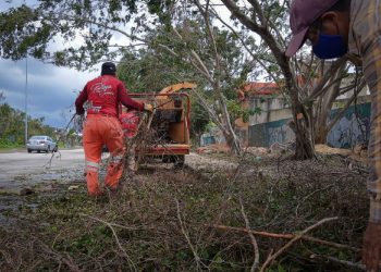 ELABORA SOLIDARIDAD COMPOSTA CON DESECHOS VEGETALES QUE DEJARON CICLONES