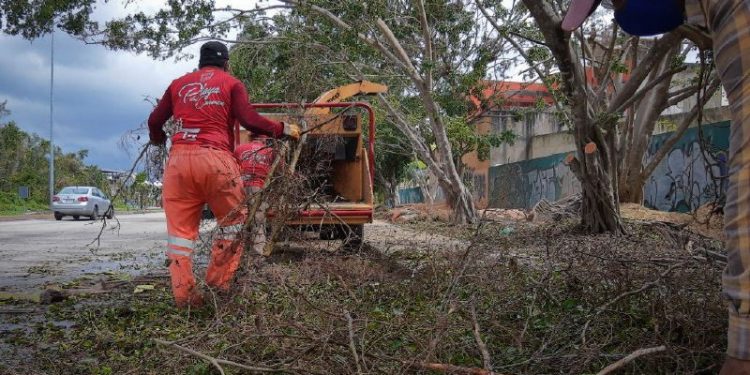 ELABORA SOLIDARIDAD COMPOSTA CON DESECHOS VEGETALES QUE DEJARON CICLONES