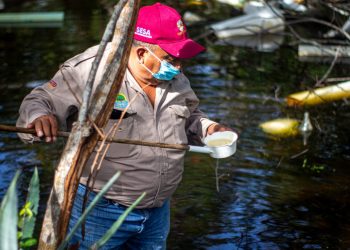 CUMPLE QUINTANA ROO 80 SEMANAS SIN PRESENTAR CASOS DE PALUDISMO